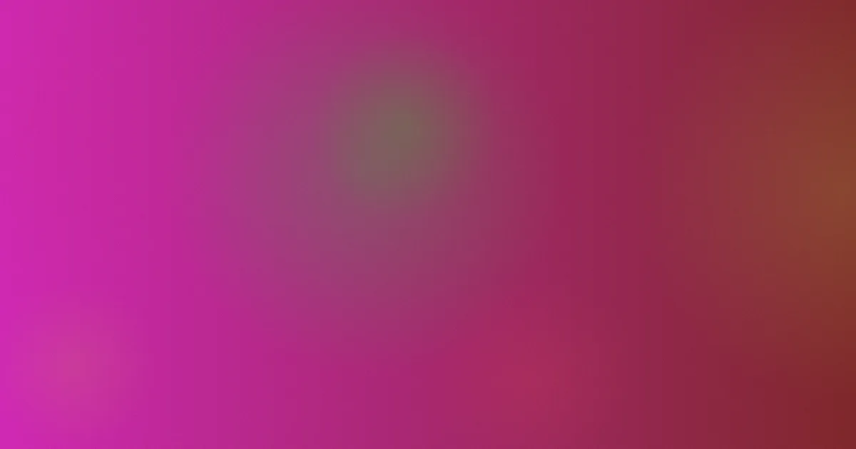 免费拍拍视频推荐：新手从零做
